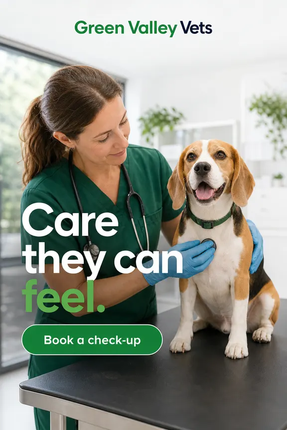 Example story ad for Green Valley Vets, a fictional vet clinic